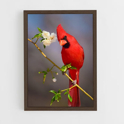 ap-cardinal-7 cadre Bois foncé