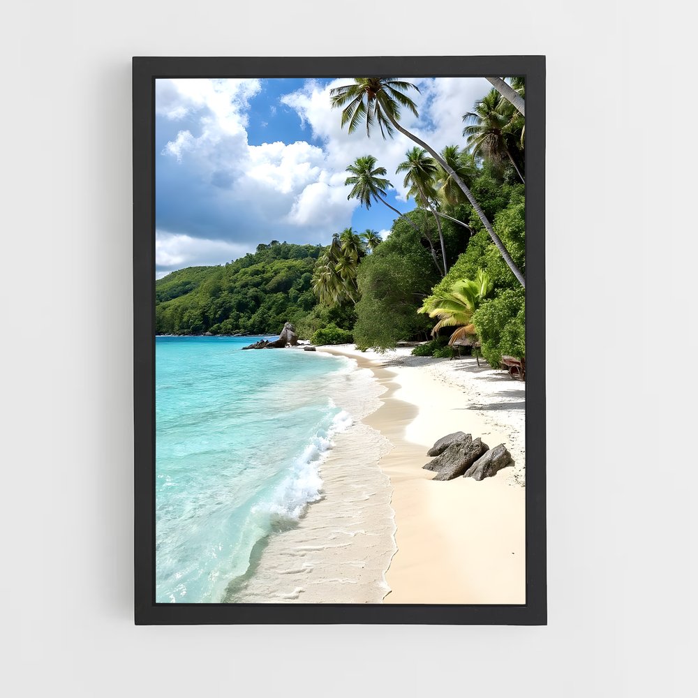 ap-caribbean-10 cadre Noir