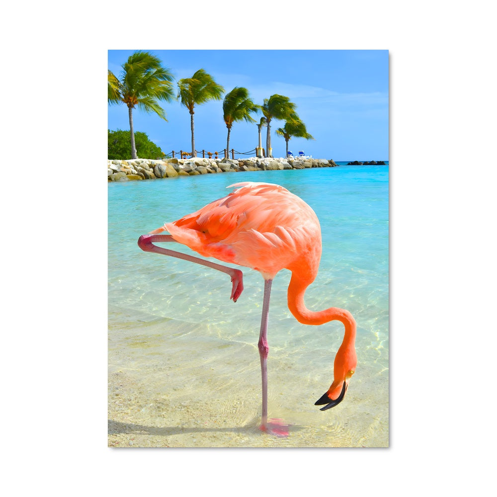 Poster Flamant Tropical