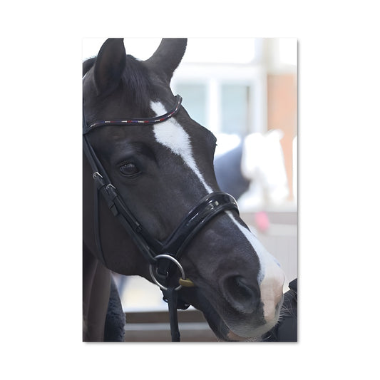 Poster Carl hester 67285