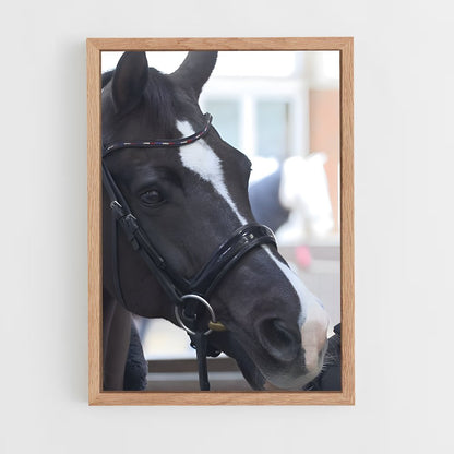 ap-carl hester-5 cadre Bois clair