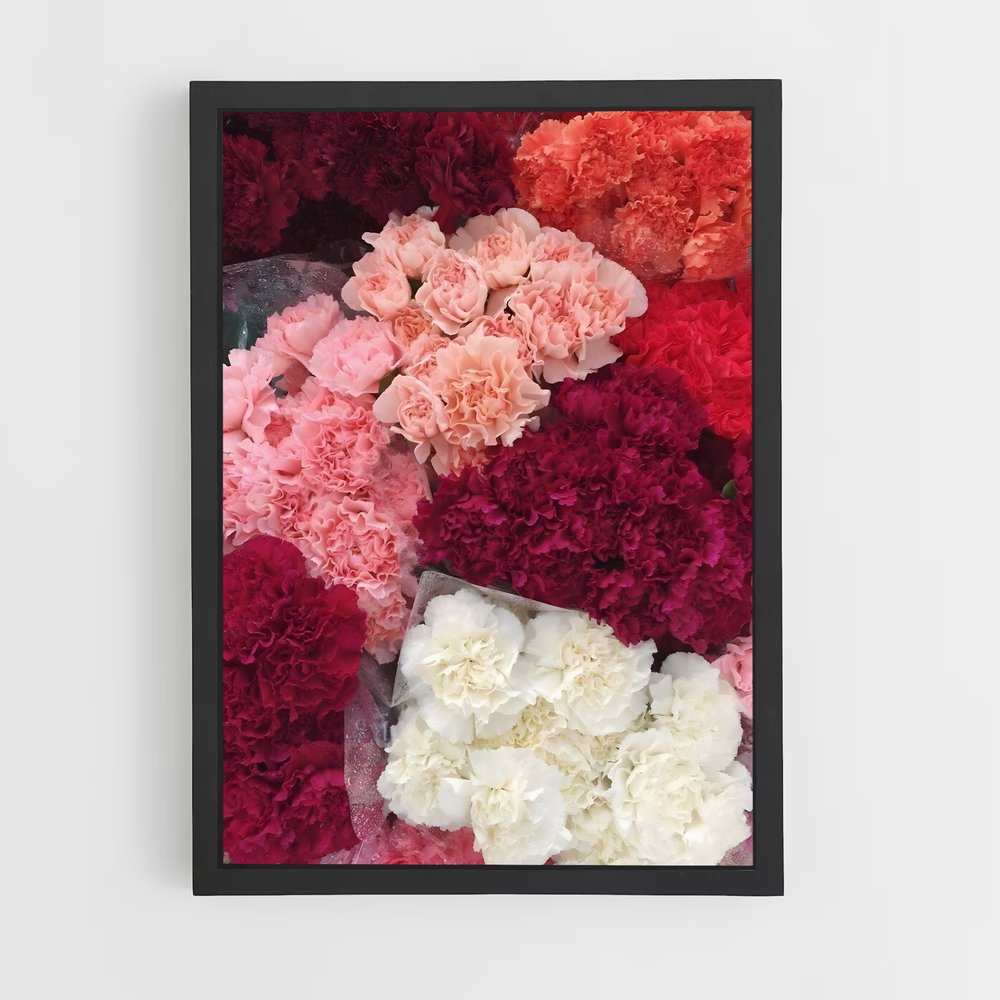ap-carnation-7 cadre Noir