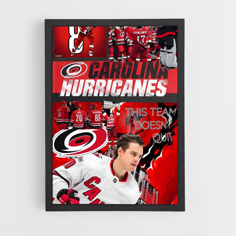 ap-carolina hurricanes-4 cadre Noir