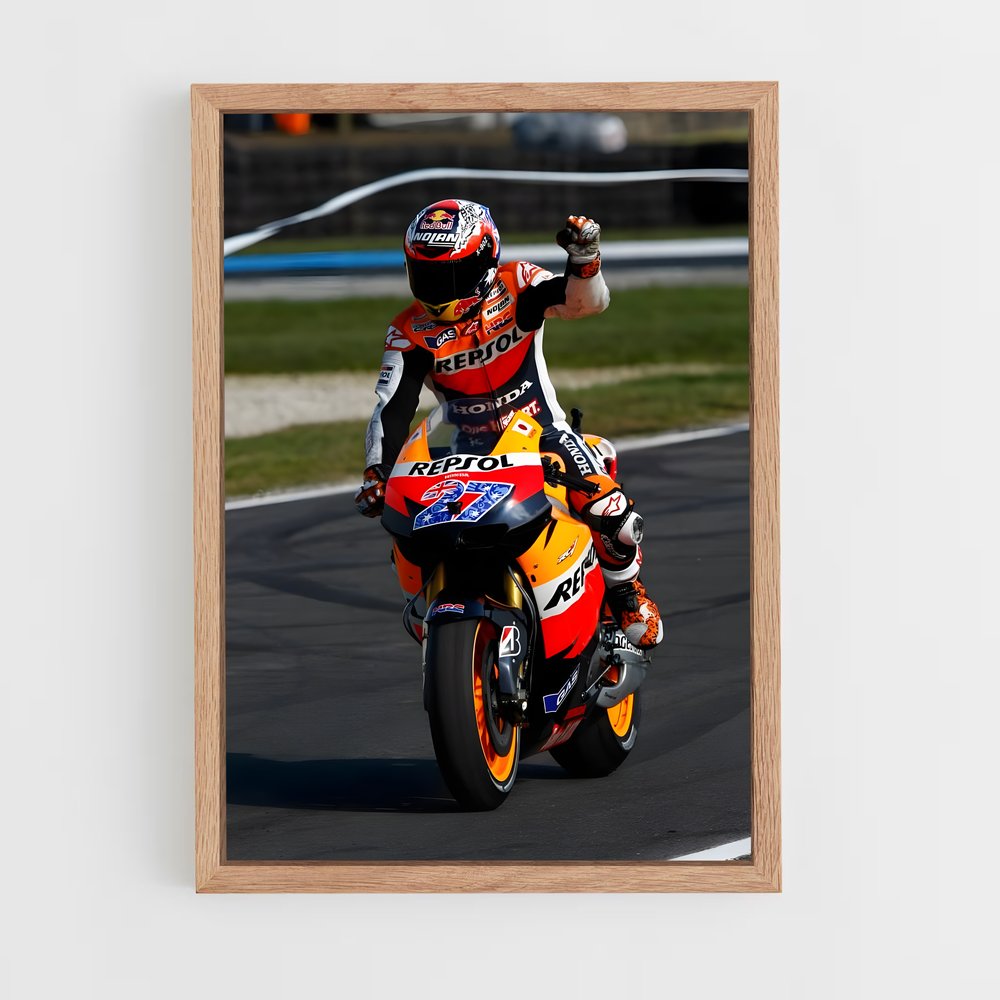 ap-casey stoner-1 cadre Bois clair