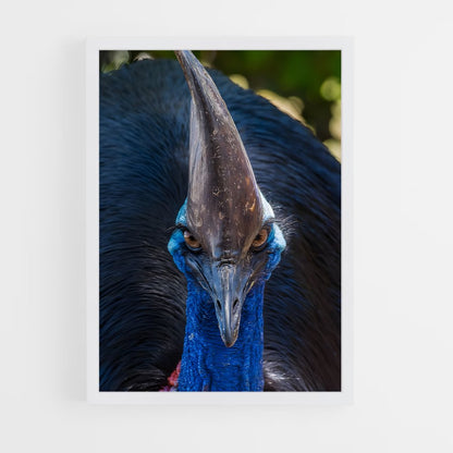 ap-cassowary-3 cadre Blanc