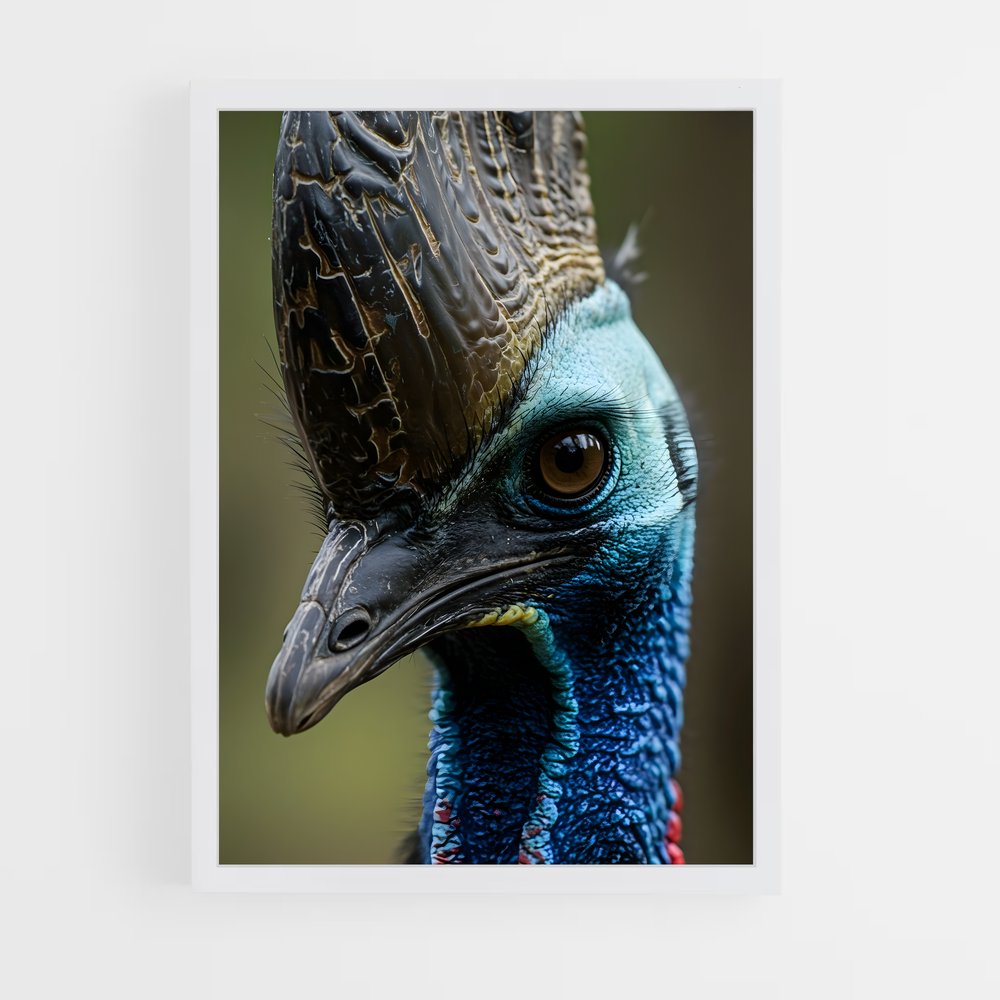 ap-cassowary-4 cadre Blanc