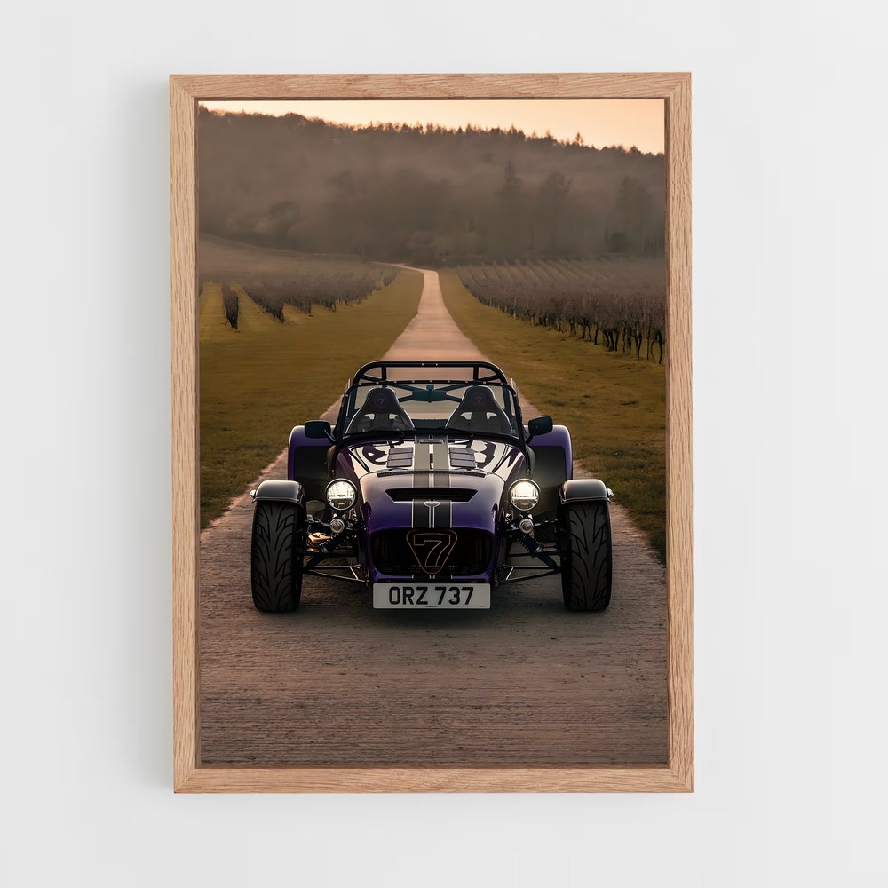 ap-caterham-1 cadre Bois clair