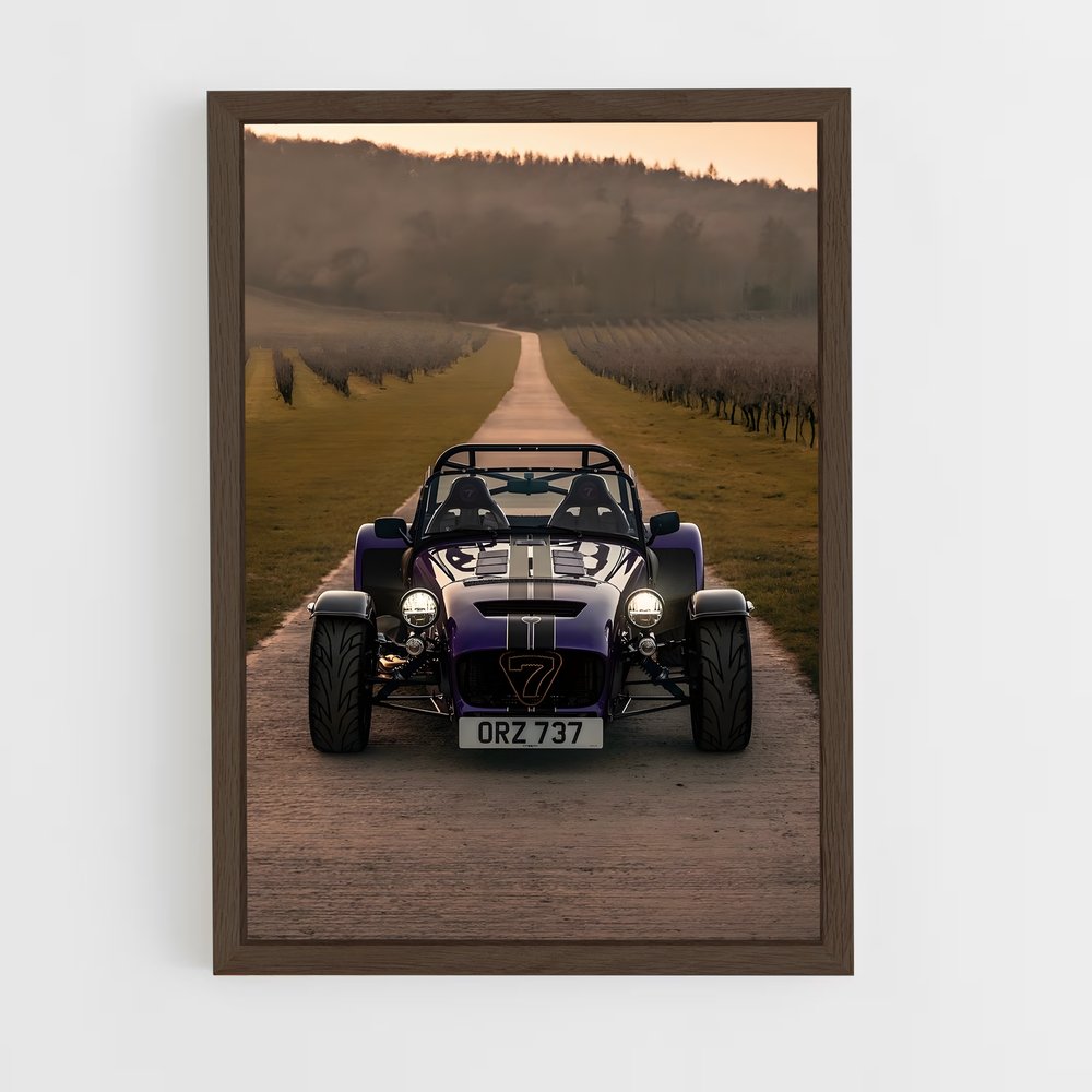 ap-caterham-1 cadre Bois foncé
