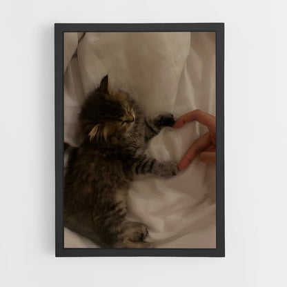 ap-cats-6 cadre Noir