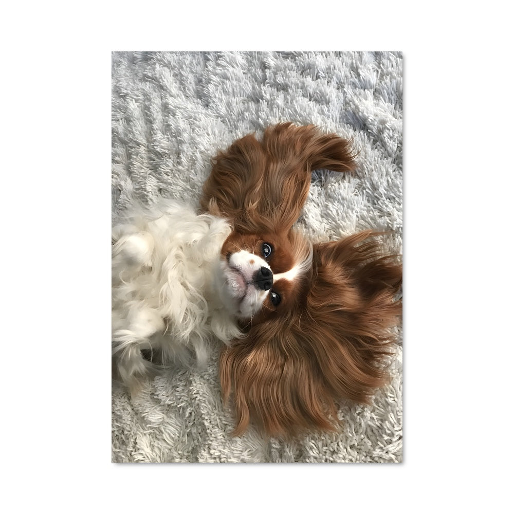 Poster Cavalier king charles spaniel 84939