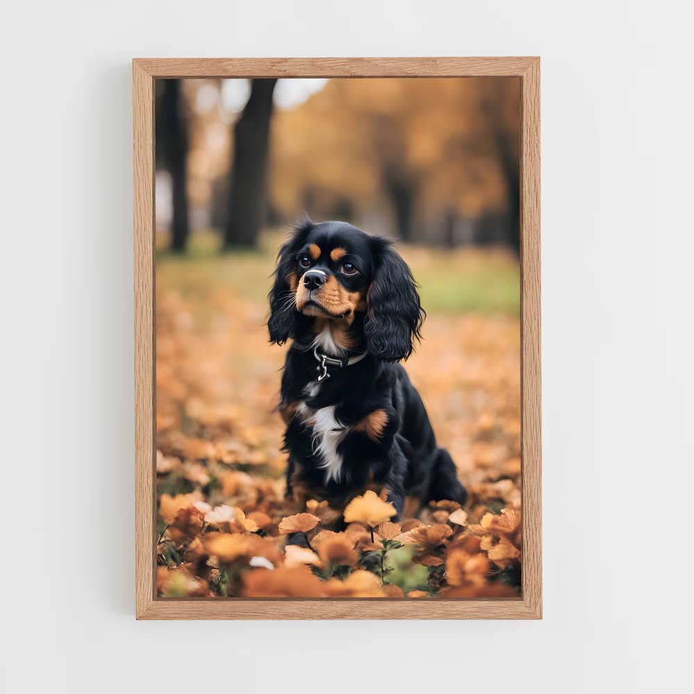 ap-cavalier king charles spaniel-4 cadre Bois clair