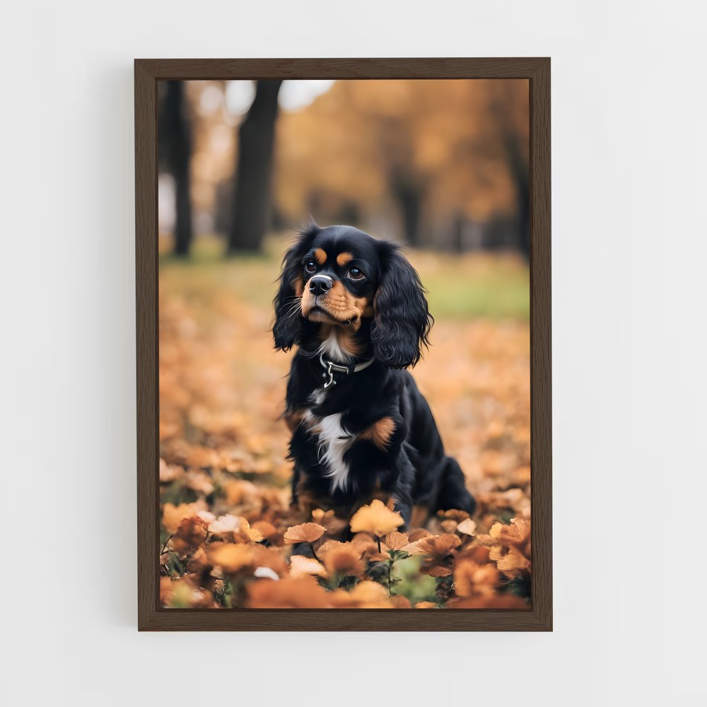 ap-cavalier king charles spaniel-4 cadre Bois foncé