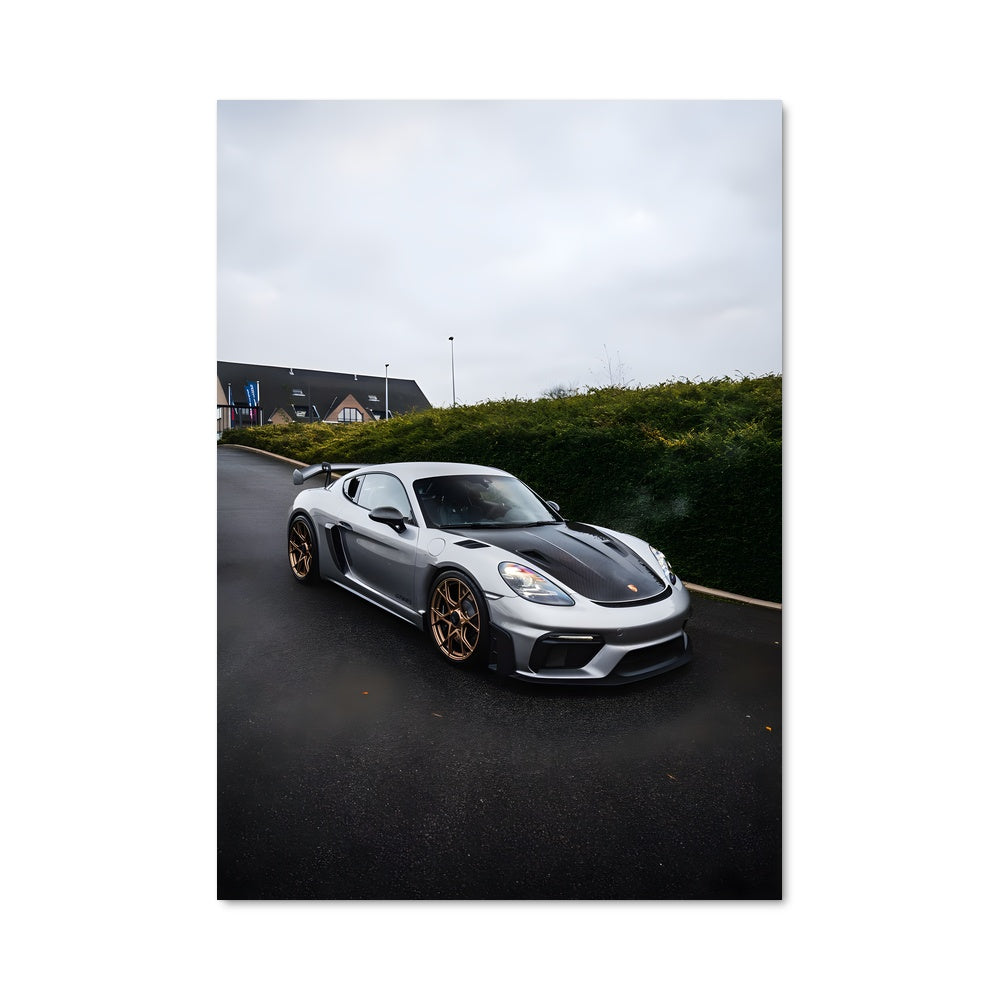 Poster Cayman gt4 rs 79406
