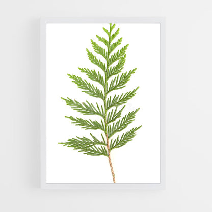 ap-cedar-3 cadre Blanc