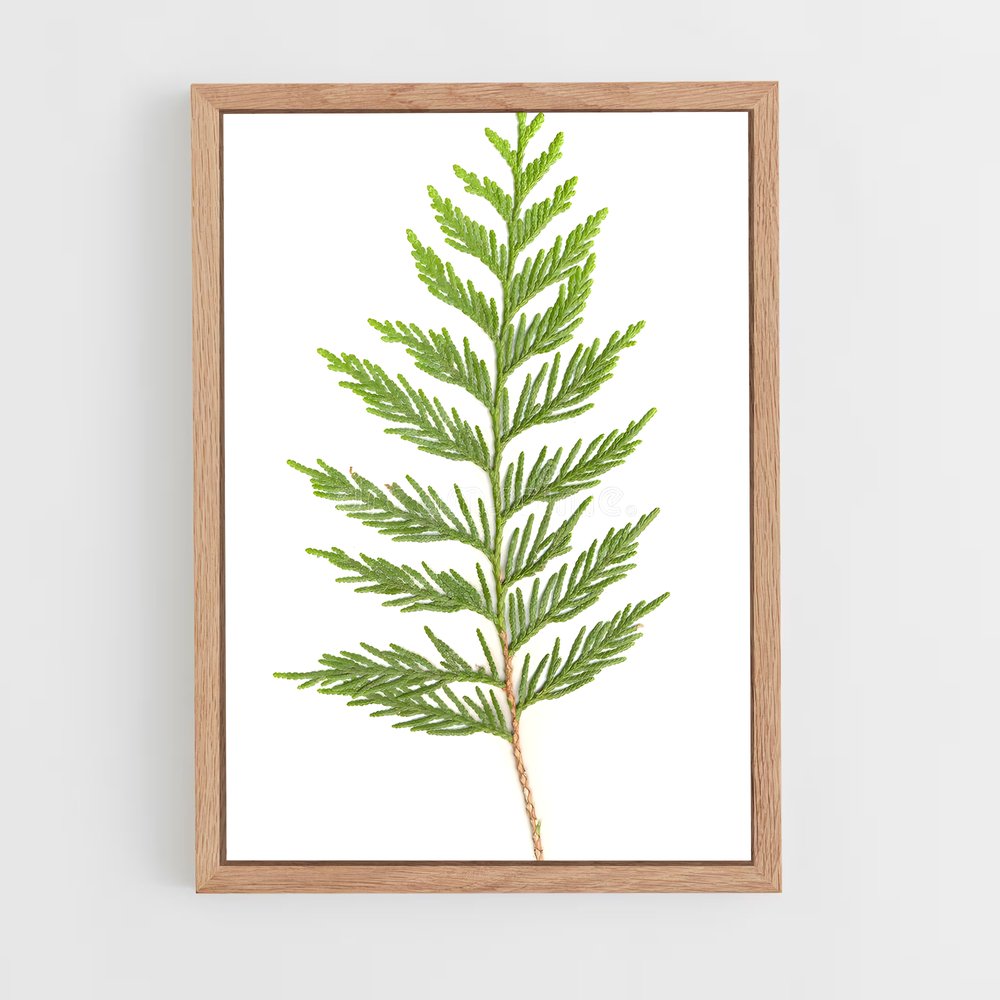 ap-cedar-3 cadre Bois clair