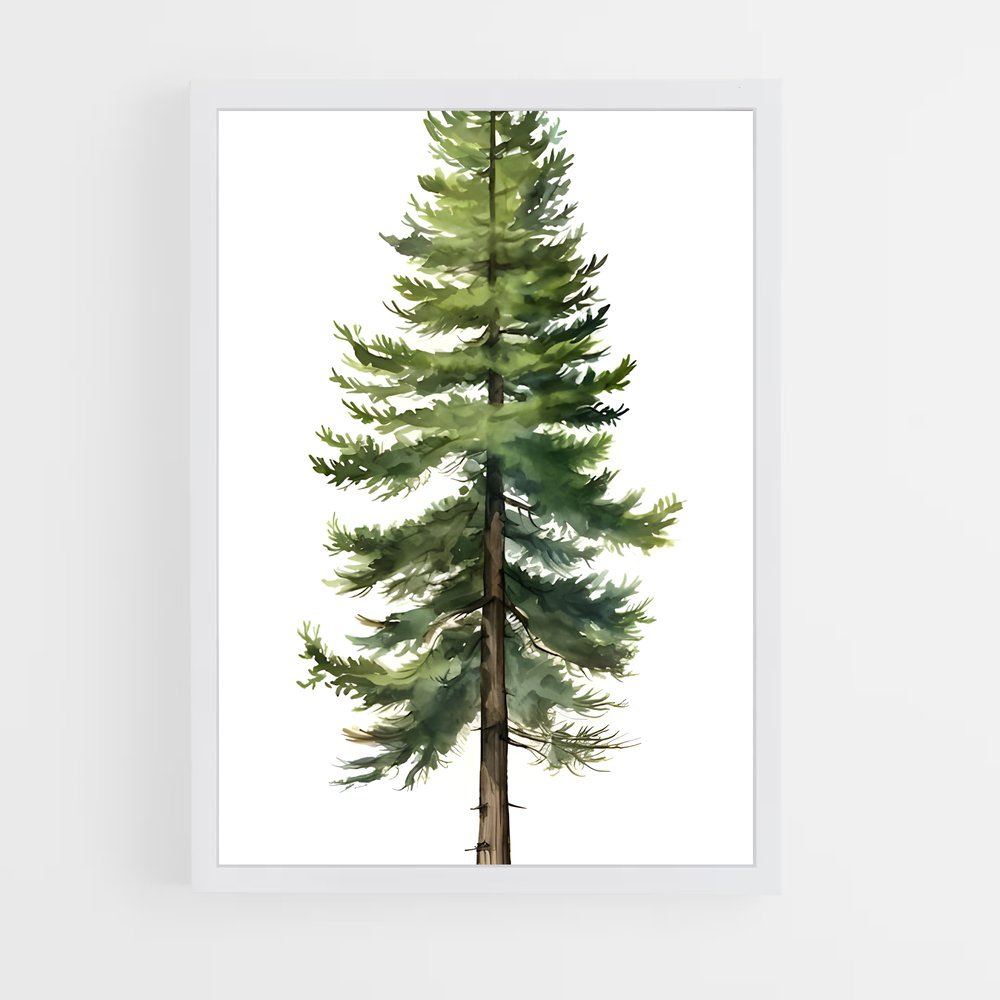 ap-cedar-6 cadre Blanc