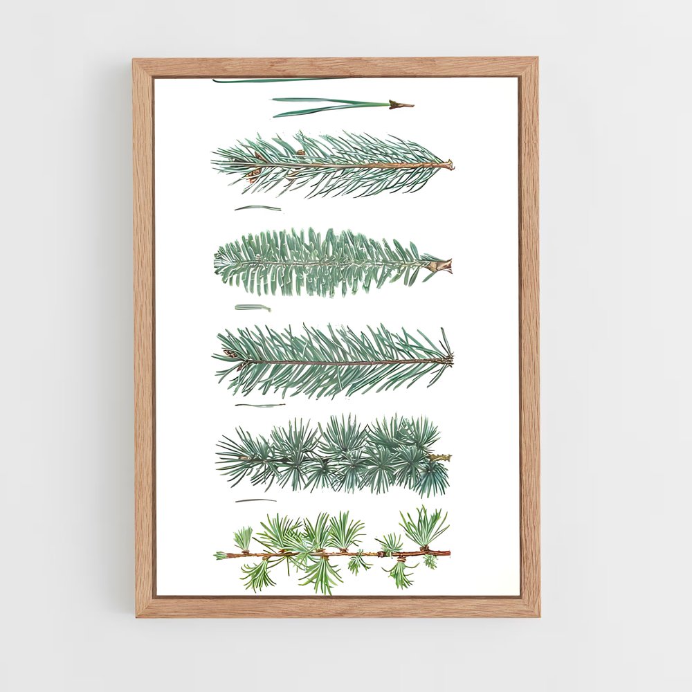 ap-cedar-8 cadre Bois clair