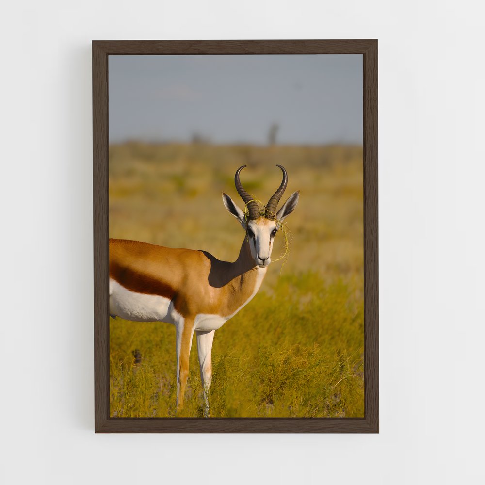 ap-central kalahari game reserve-3 cadre Bois foncé