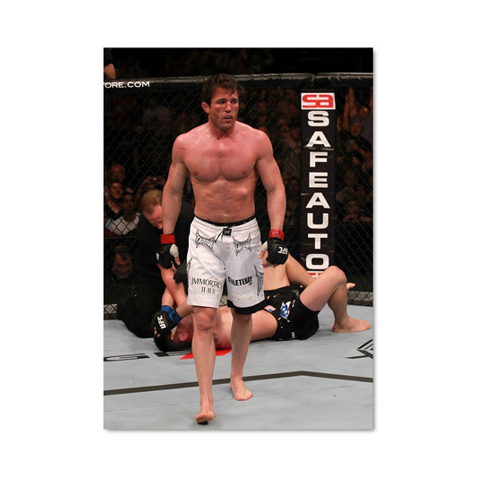 Poster Chael sonnen 62072