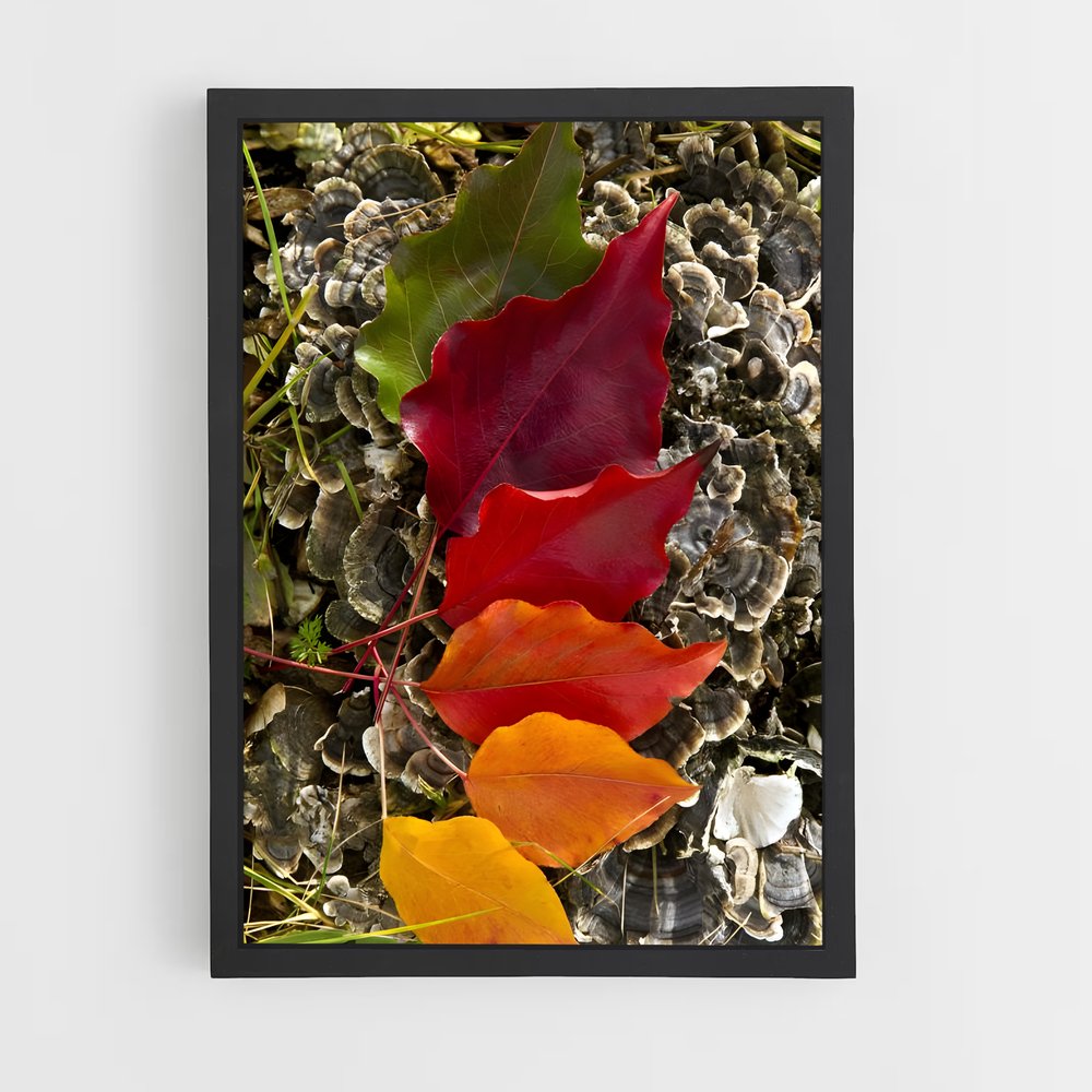 ap-changing leaves-3 cadre Noir