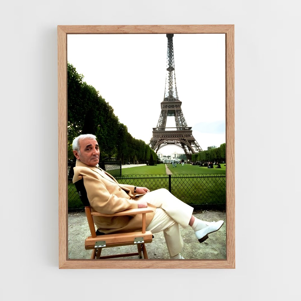 ap-charles aznavour-1 cadre Bois clair