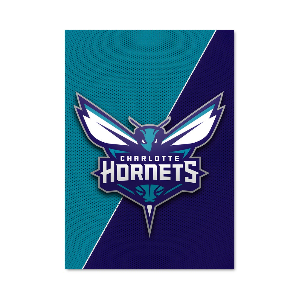 Poster Duel des Hornets