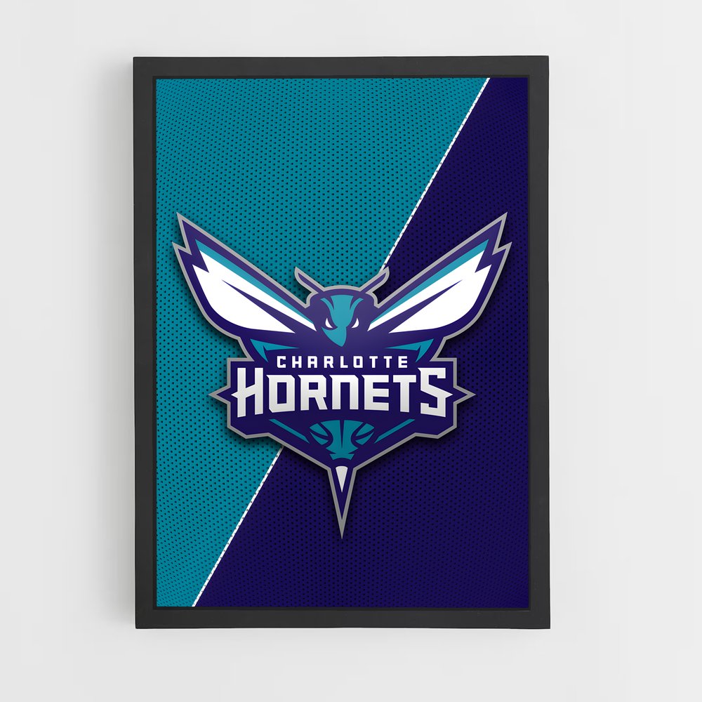 ap-charlotte hornets-2 cadre Noir