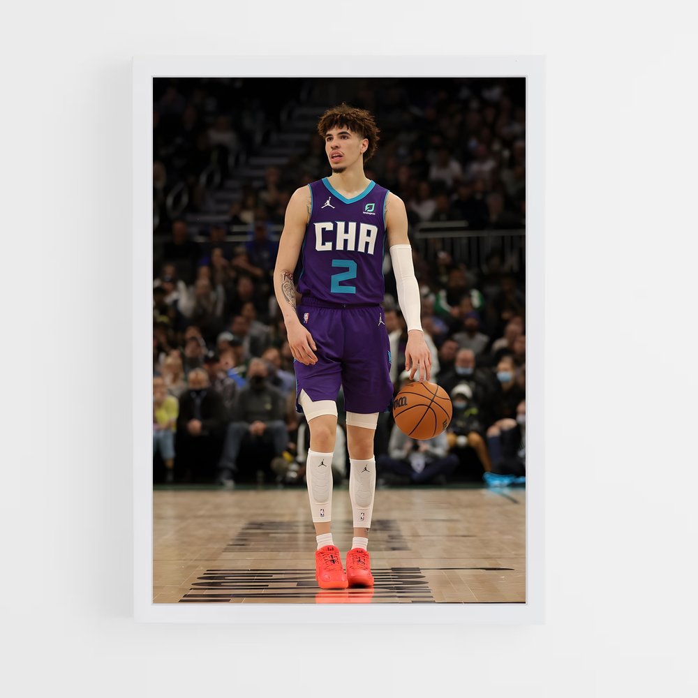 ap-charlotte hornets-6 cadre Blanc