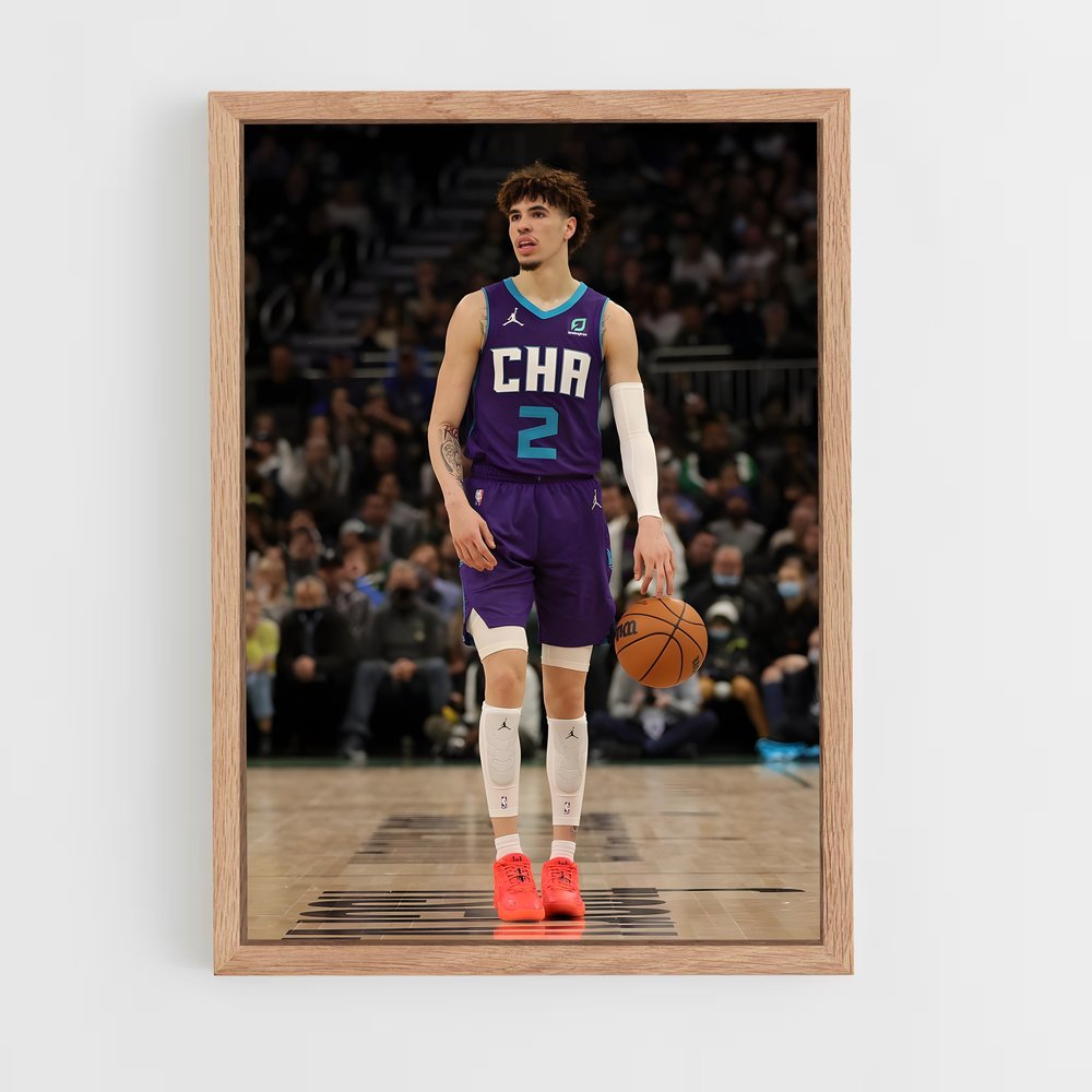 ap-charlotte hornets-6 cadre Bois clair