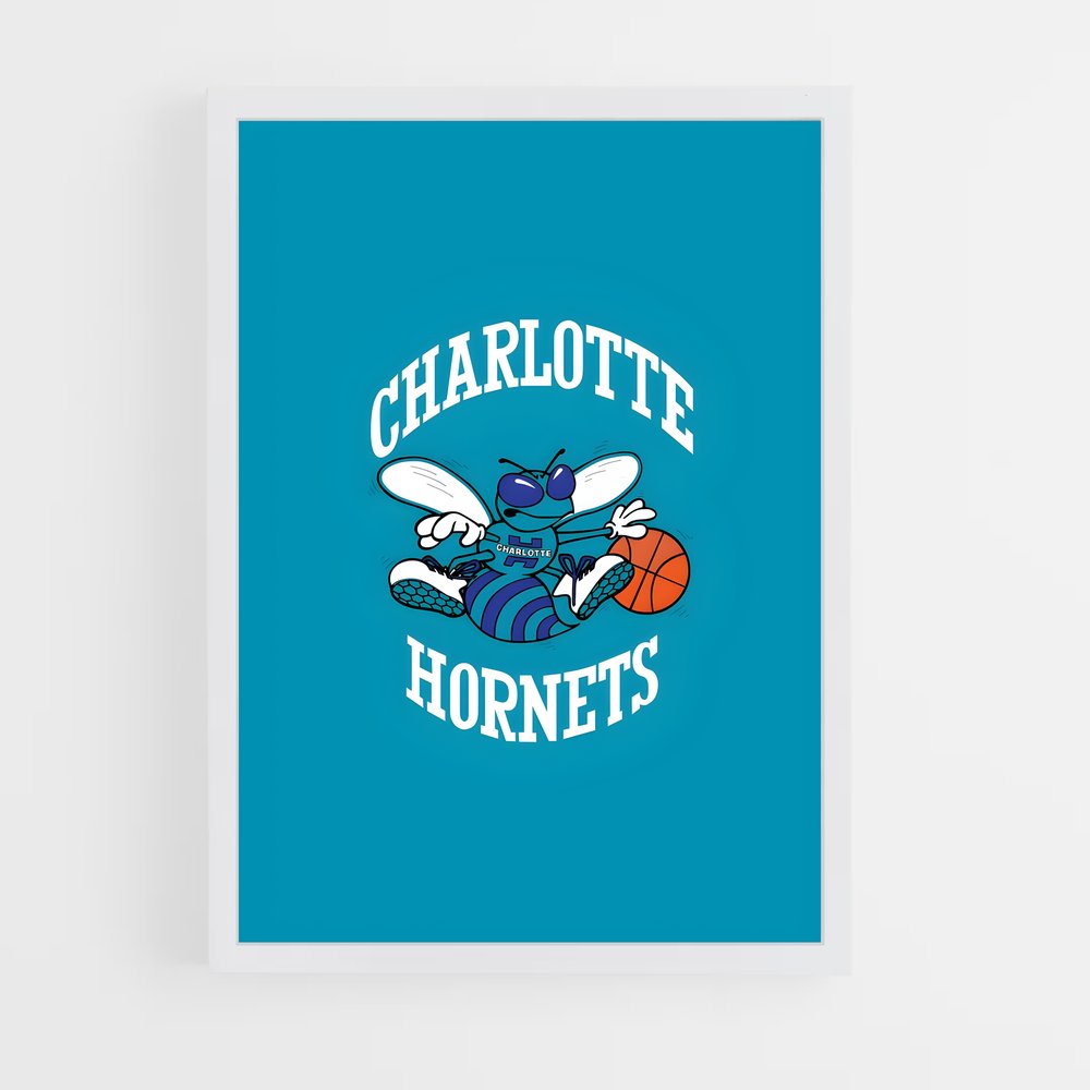 ap-charlotte hornets-7 cadre Blanc
