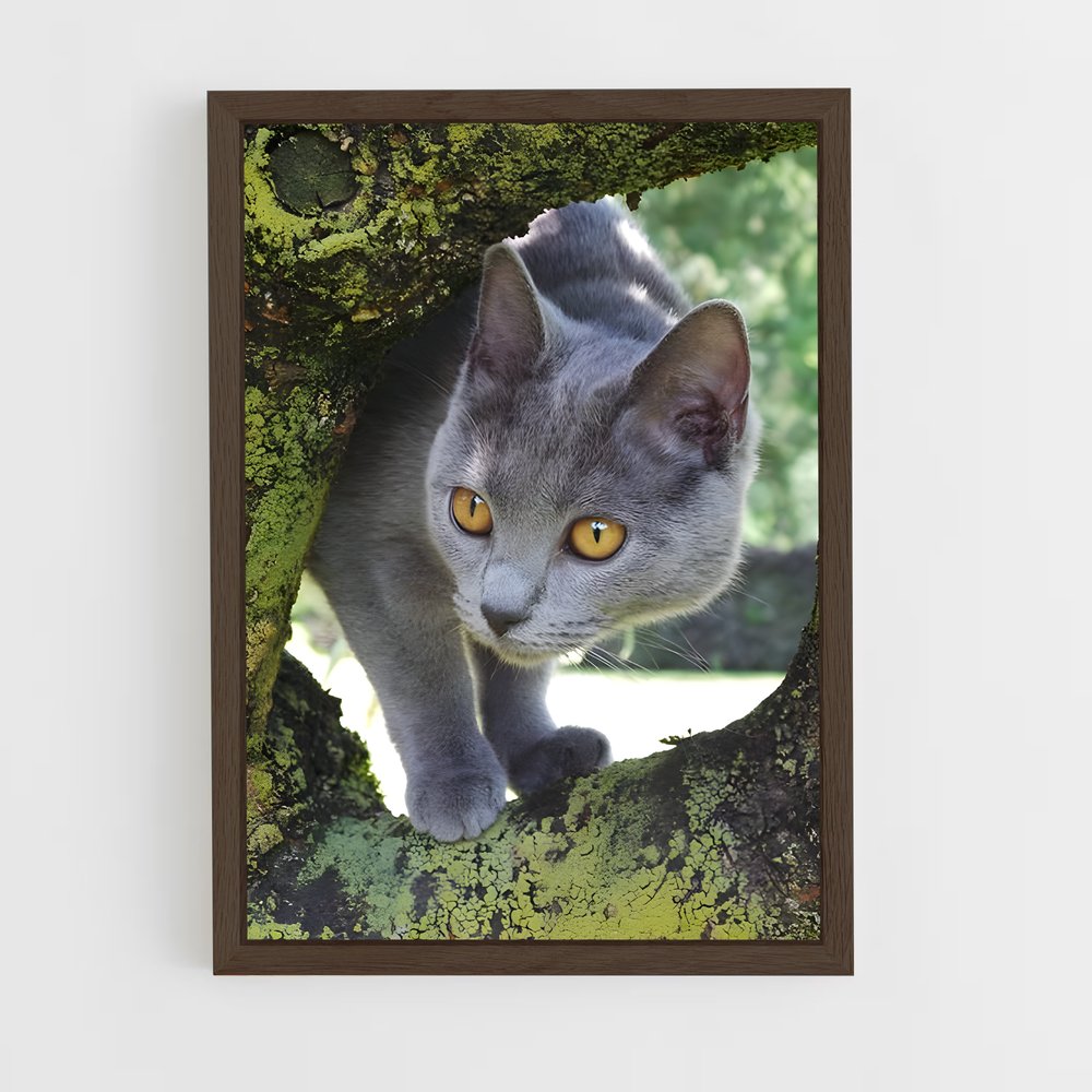 ap-chartreux-3 cadre Bois foncé