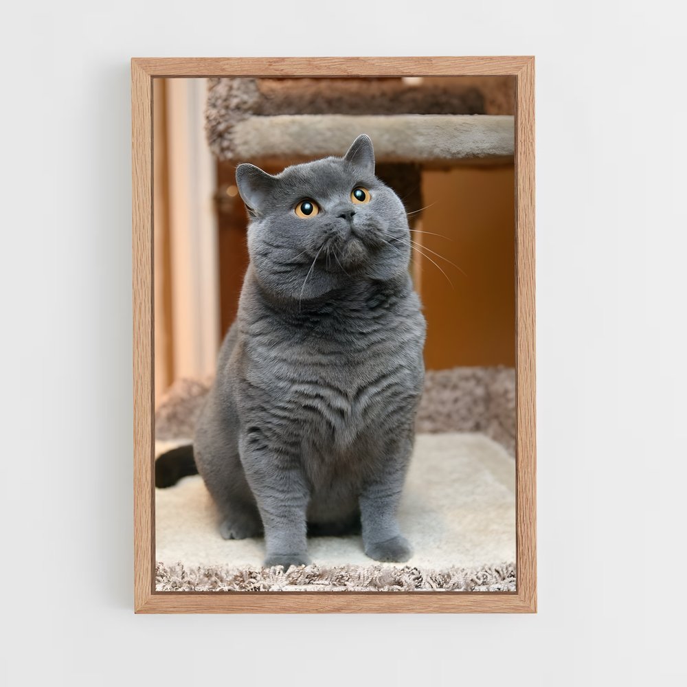 ap-chartreux-4 cadre Bois clair