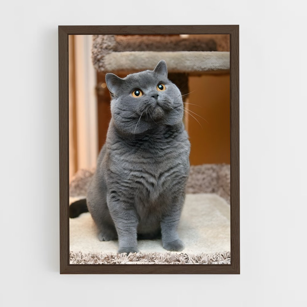 ap-chartreux-4 cadre Bois foncé