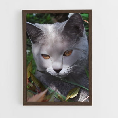 ap-chartreux-6 cadre Bois foncé