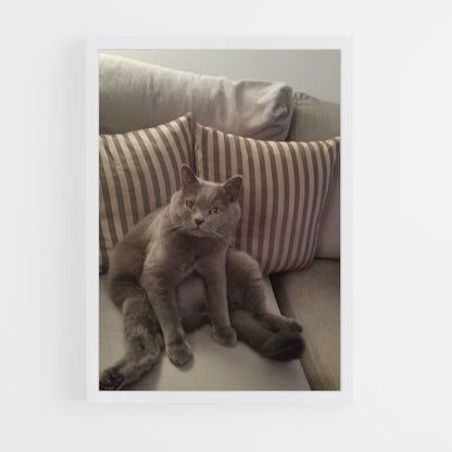 ap-chartreux-7 cadre Blanc
