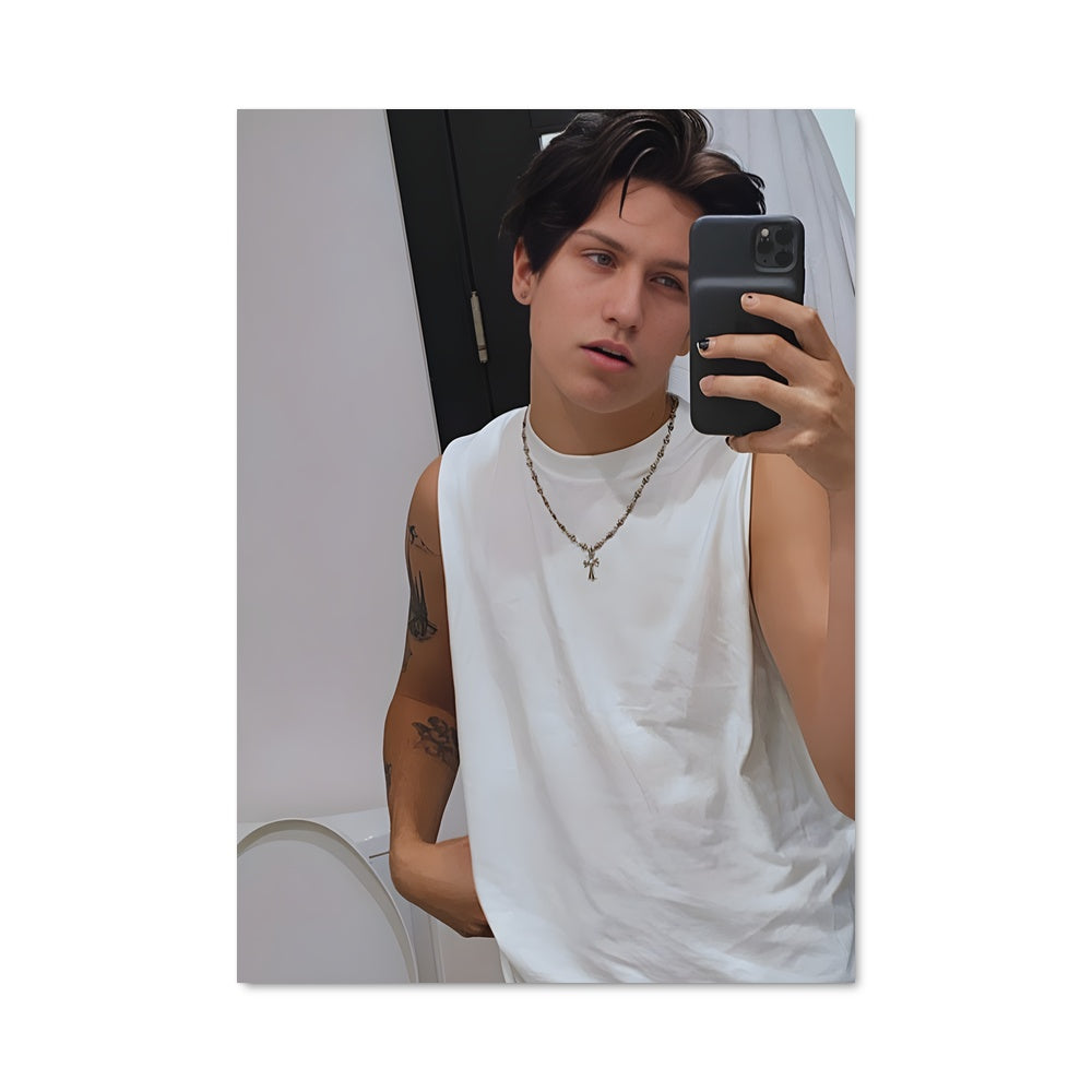 Poster Bathroom Selfie