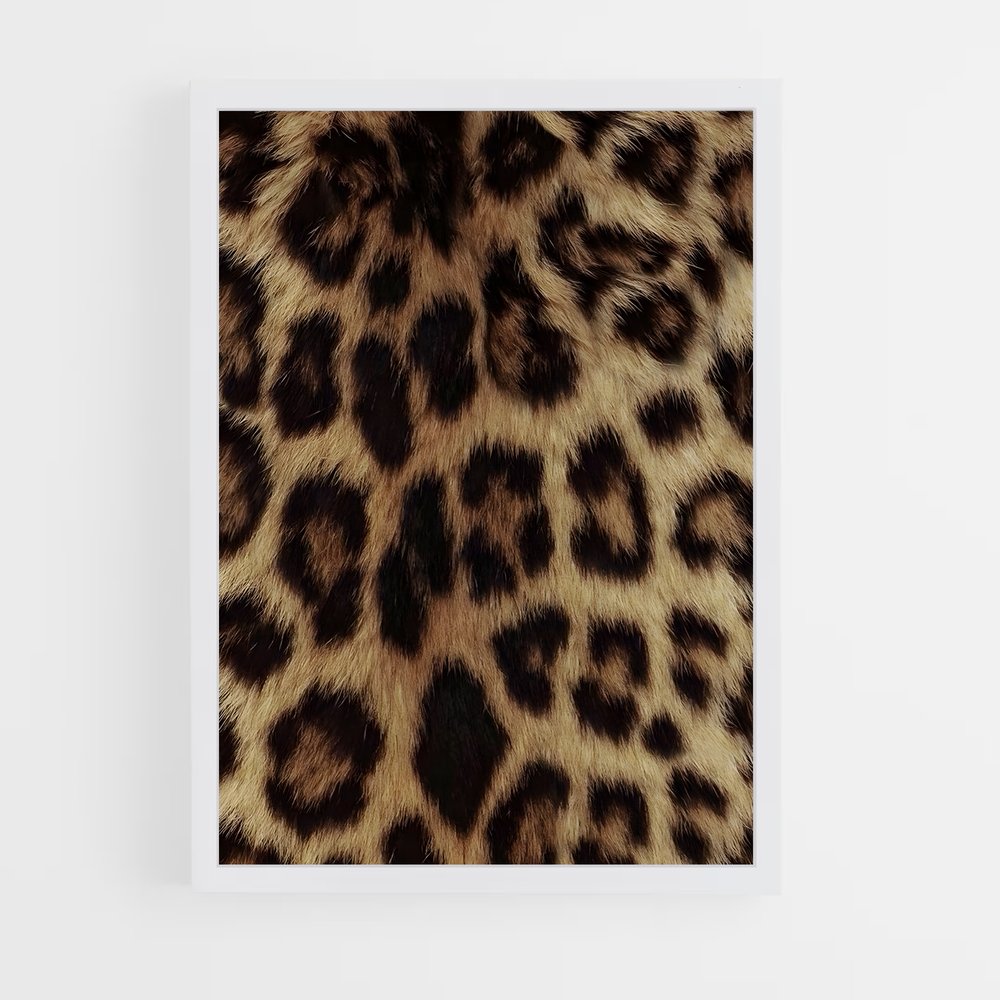 ap-cheetah-1 cadre Blanc
