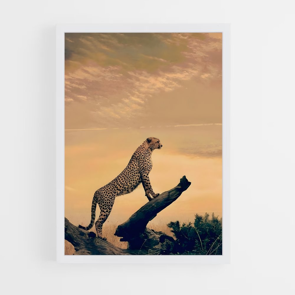 ap-cheetah-10 cadre Blanc