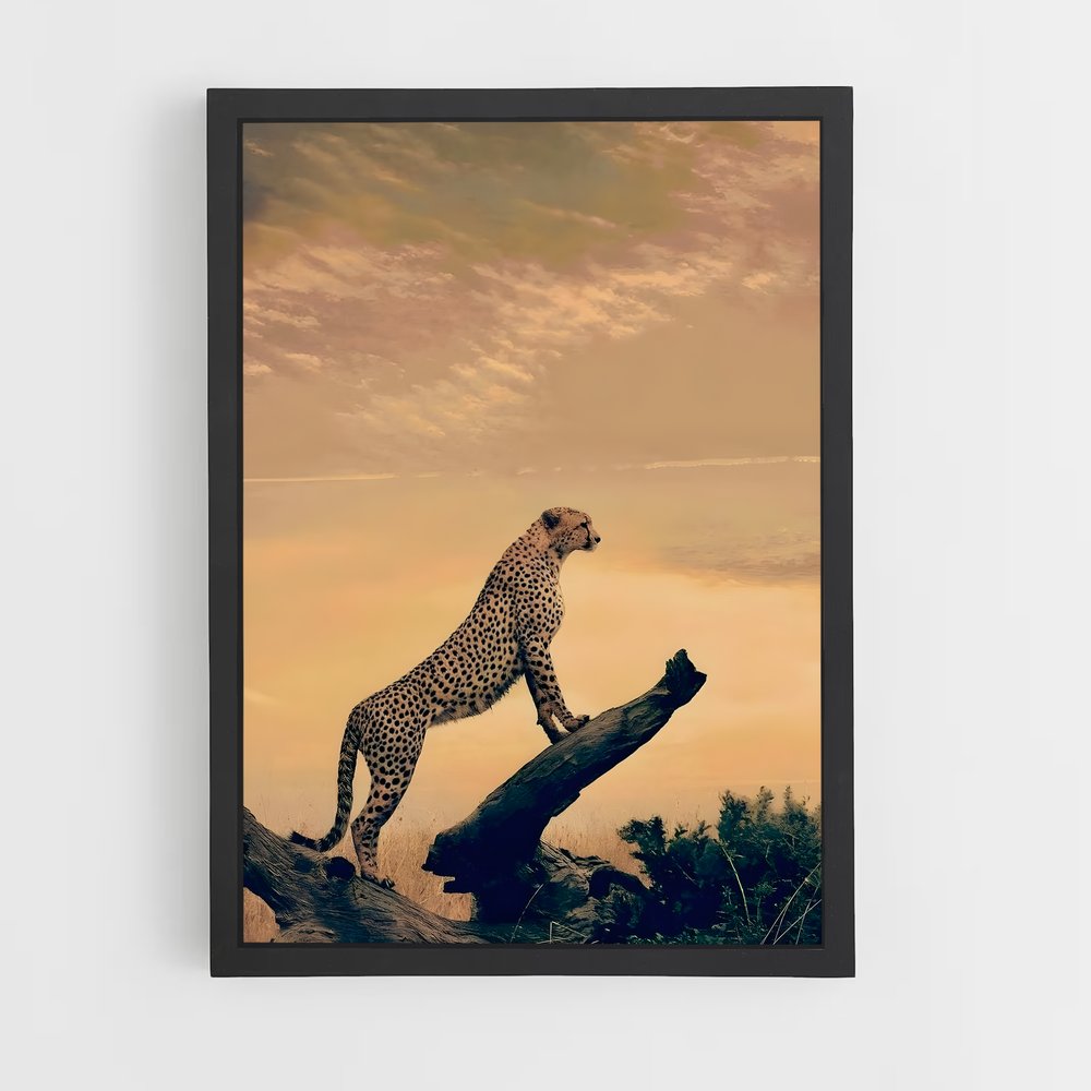 ap-cheetah-10 cadre Noir