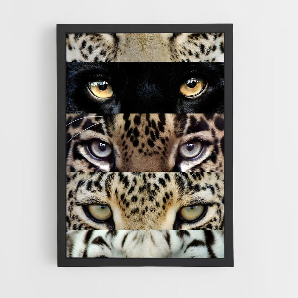 ap-cheetah-5 cadre Noir