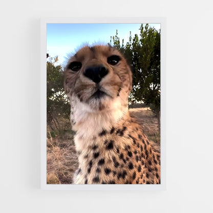 ap-cheetah-7 cadre Blanc