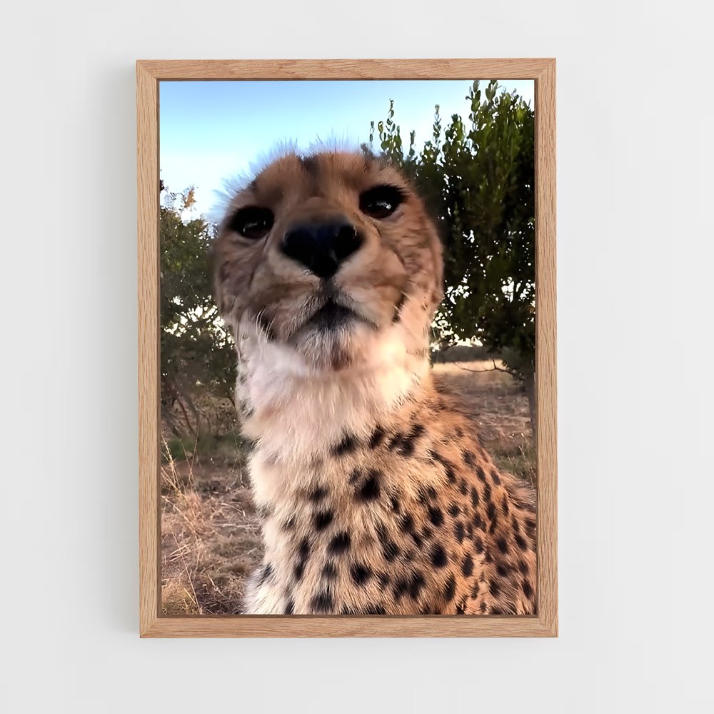 ap-cheetah-7 cadre Bois clair
