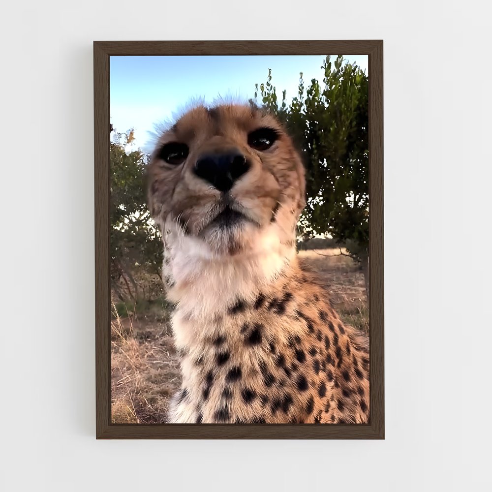 ap-cheetah-7 cadre Bois foncé