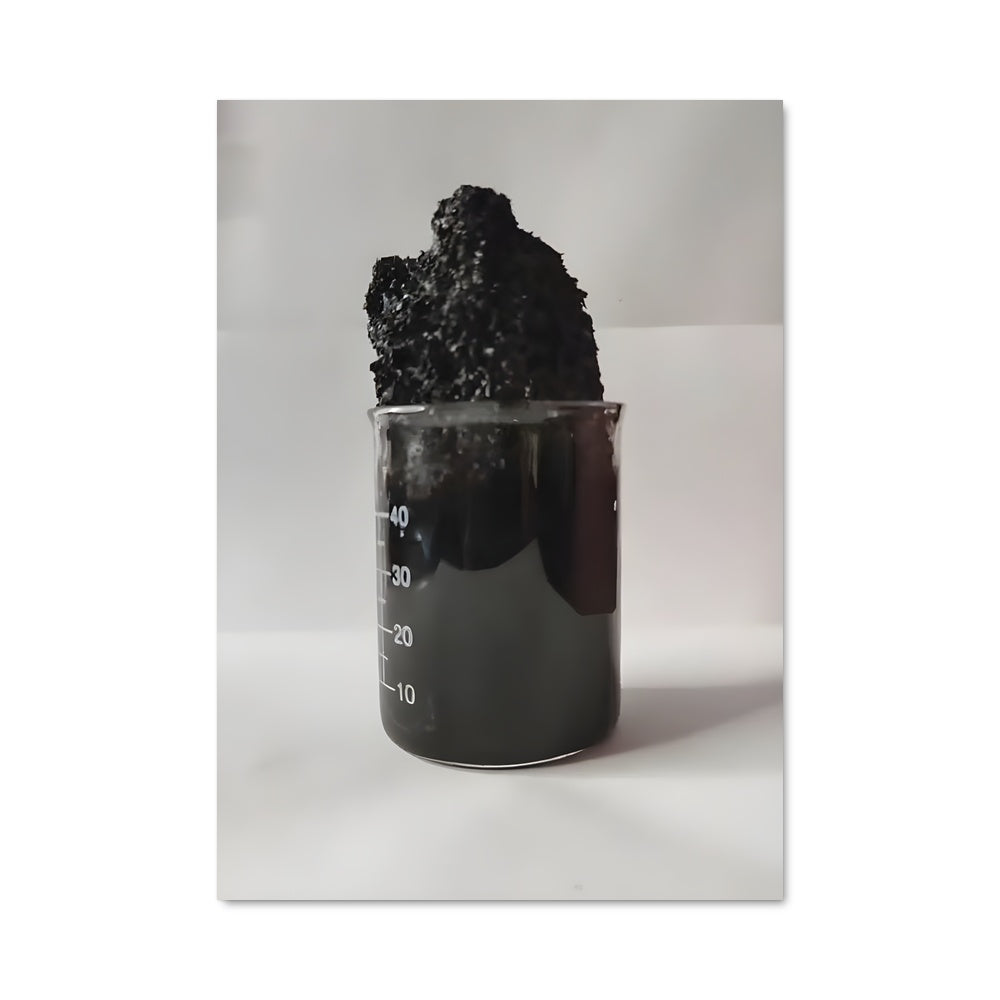 Poster Alchimie Noire