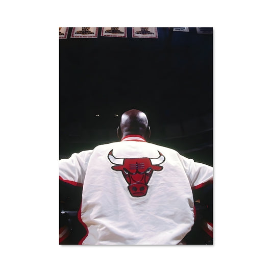 Poster Bulls en Action