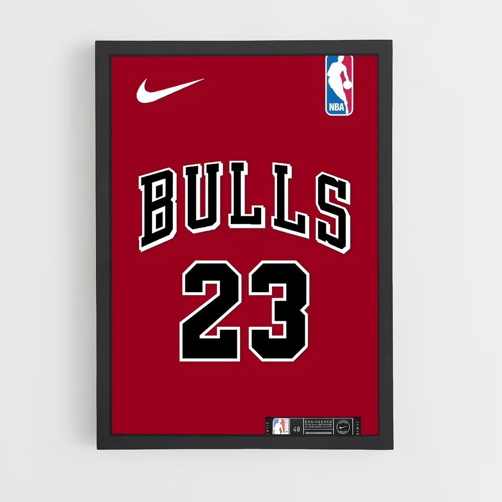 ap-chicago bulls-4 cadre Noir