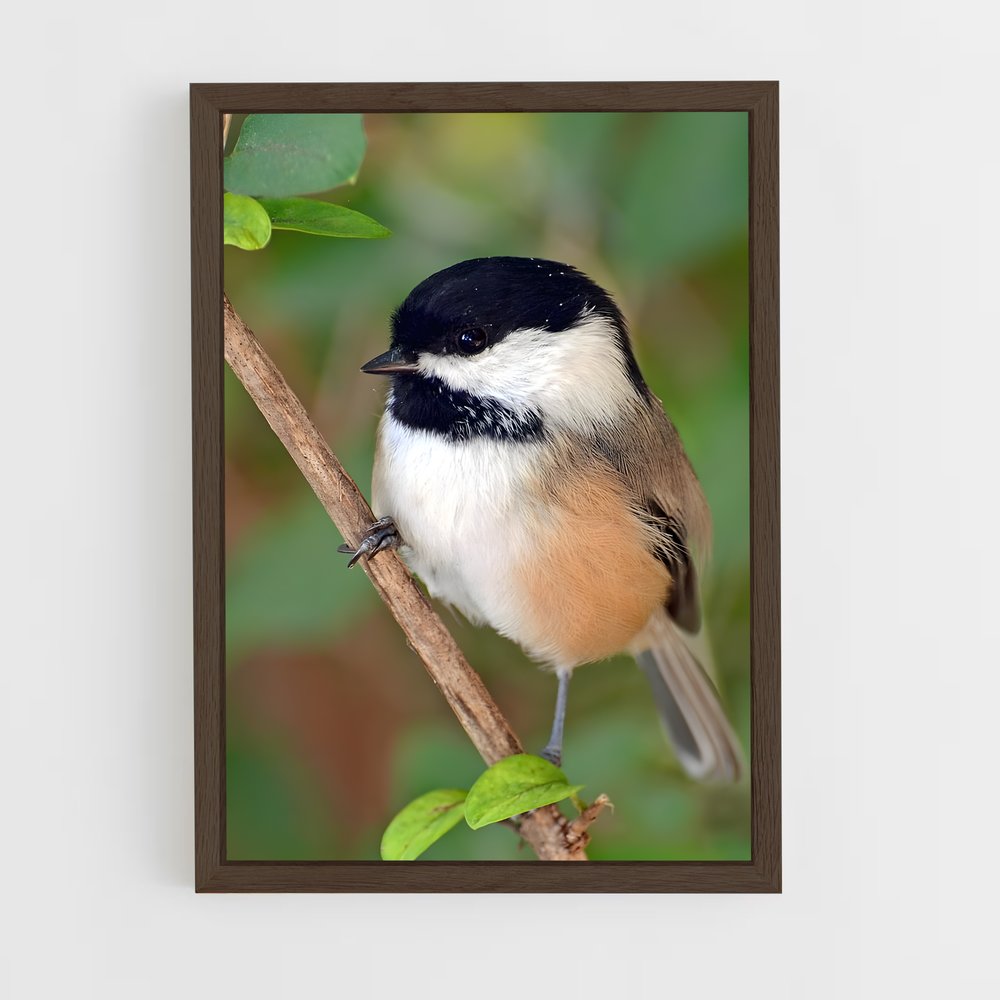 ap-chickadee-1 cadre Bois foncé