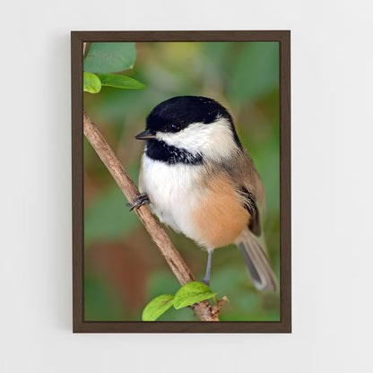 ap-chickadee-1 cadre Bois foncé