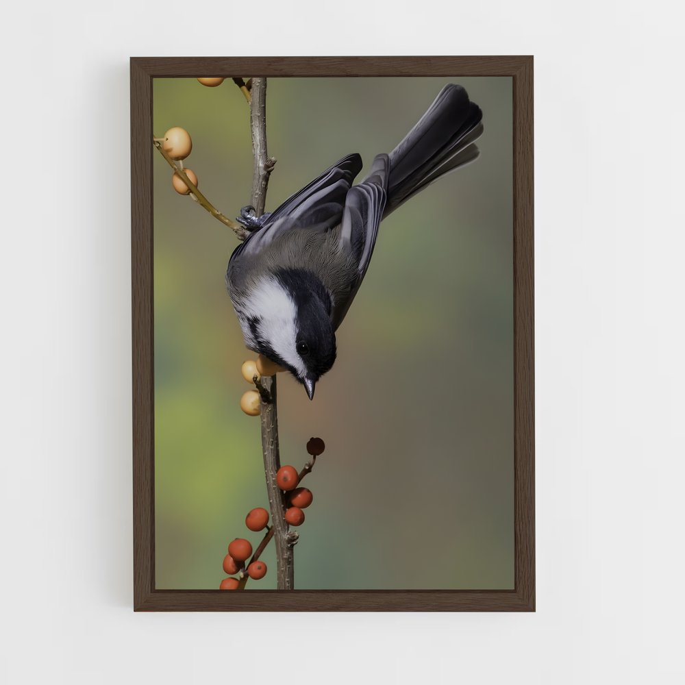 ap-chickadee-2 cadre Bois foncé