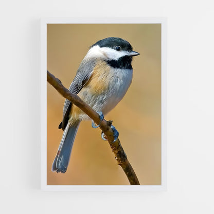 ap-chickadee-4 cadre Blanc